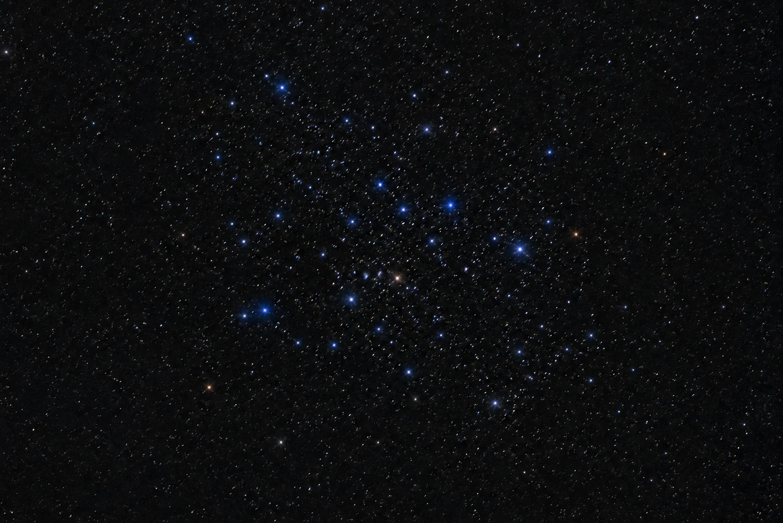 Рассеянное скопление Ясли M44 с яркими белыми и тёплыми звёздами в широком поле бинокля